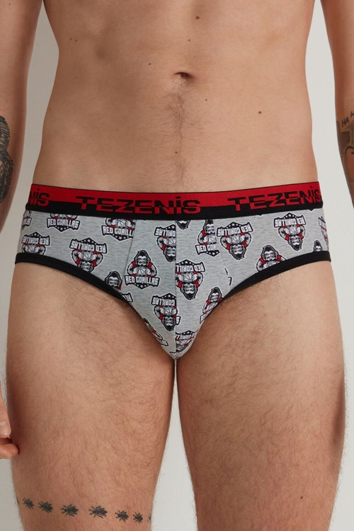 Tezenis Printed Bawełniane Briefs with Logo Elastic Waistband Szare Głęboka | 4528-SGCAV